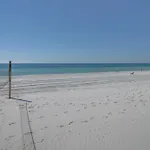 Endless Summer C18